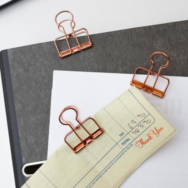 Kikkerland Copper Wire Clips