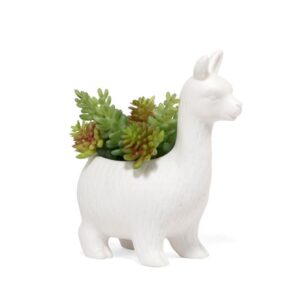 Lloyd the llama planter white ceramic with plants