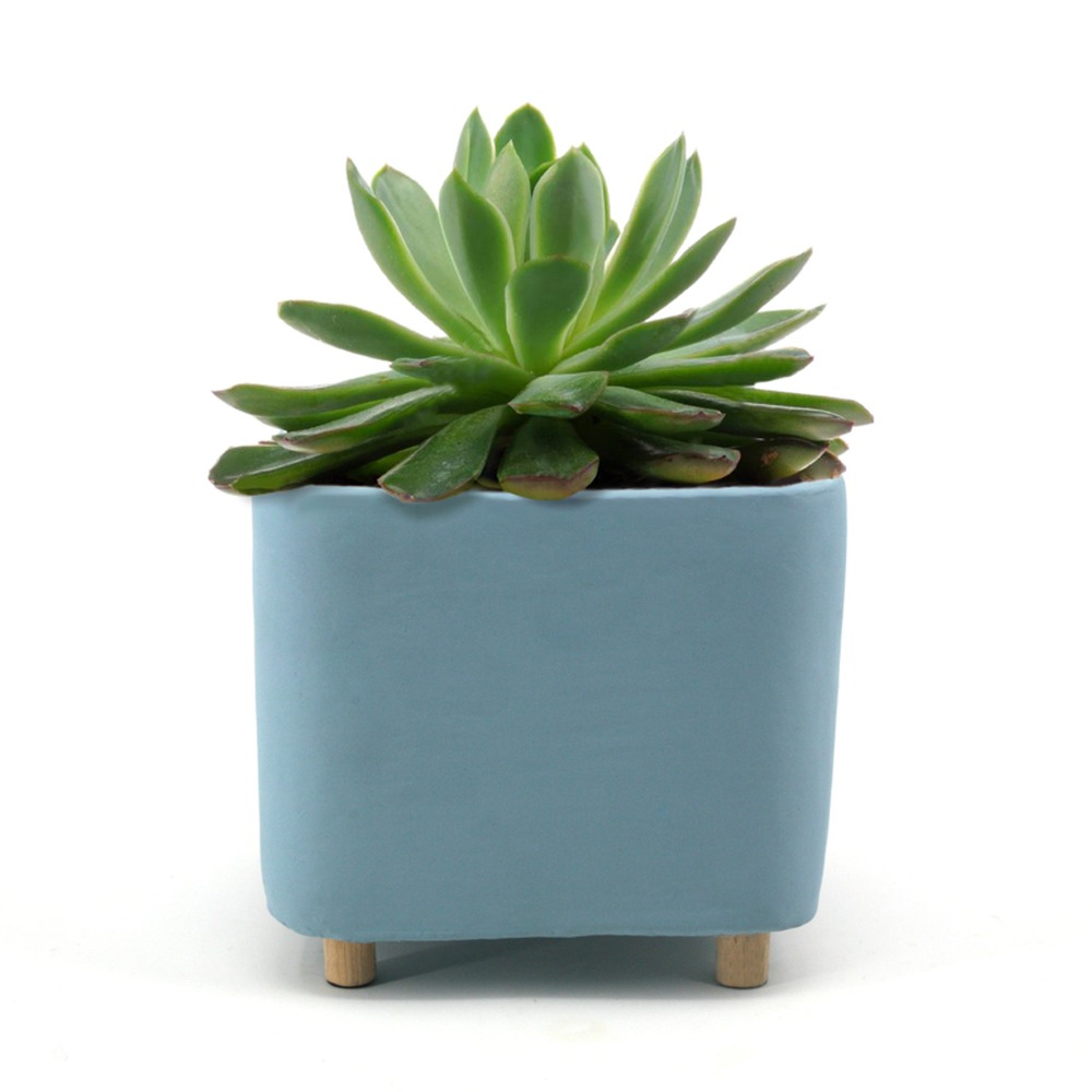 Ceramic blue desk planter - large with succulent