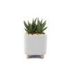 Ceramic white desk planter, small with succulent