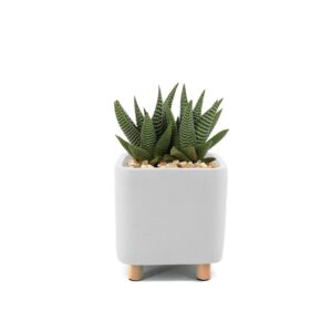 Ceramic white desk planter, small with succulent