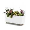 Ceramic Desk Planter - Small, Wooden Legs - Image 2