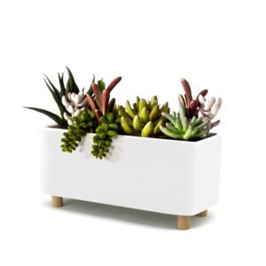 Ceramic white desk planter, small with succulent