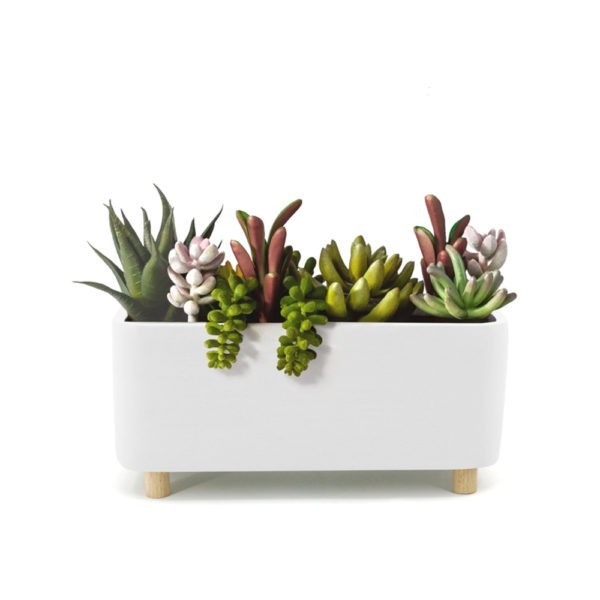 Desk Planter - Ceramic, Wide, White with Succulent