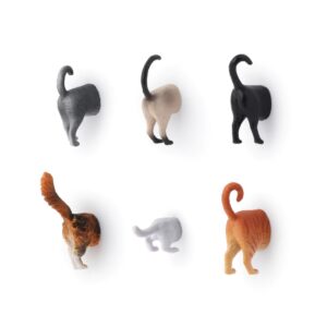 Cat Butt Magnets - Pack of 6, Kikkerland