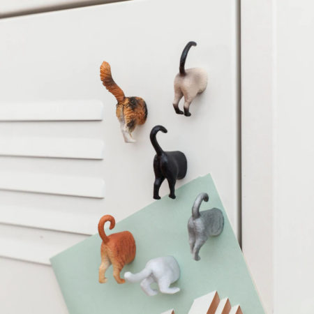 Cat butt magnets - On locker holding up notes