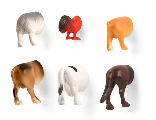 Farm Animal Butt Magnets - Set of 6, against a white background